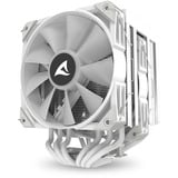 Sharkoon A60 RGB, CPU-Kühler weiß, 120 mm